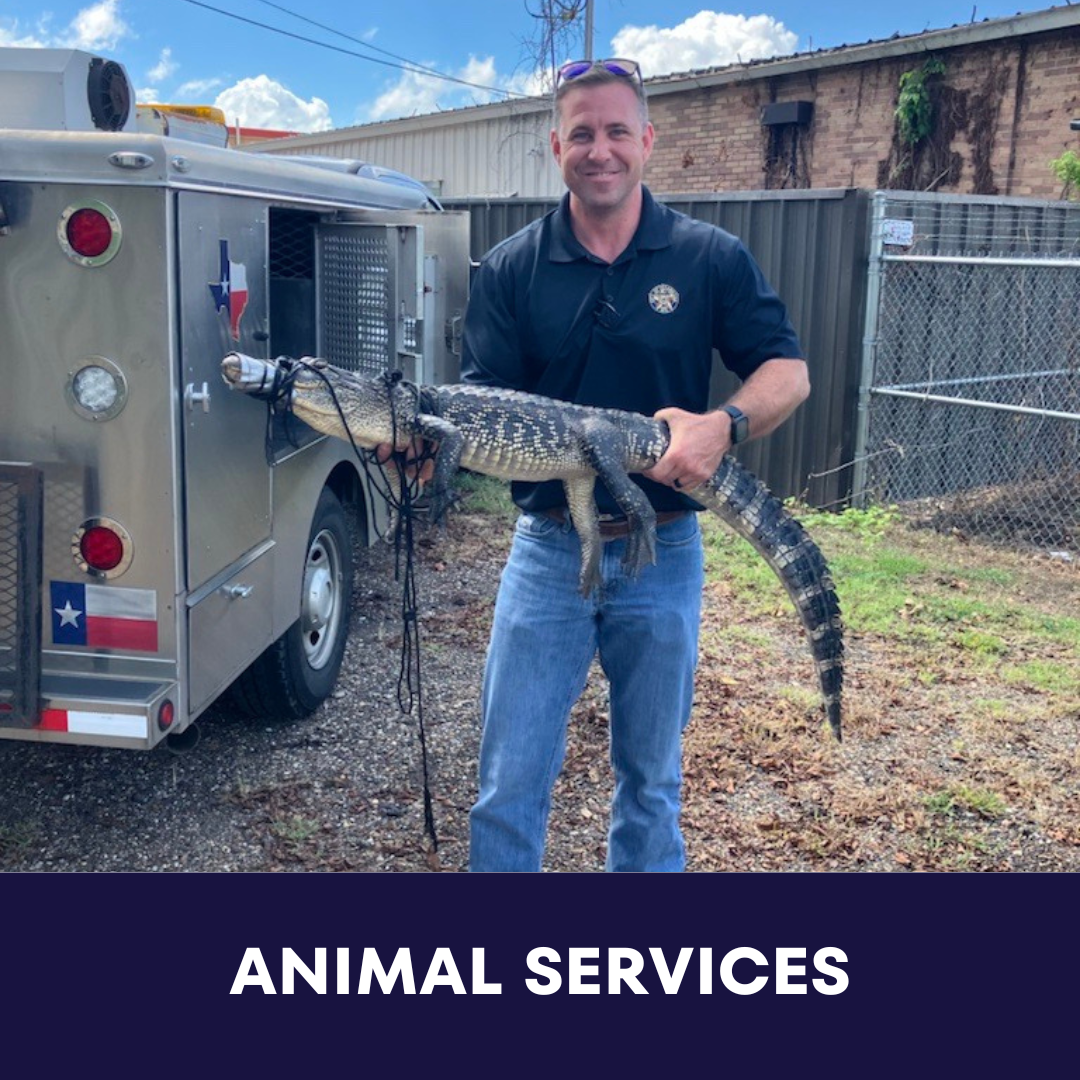 New Resident Guide_Widgets (18)